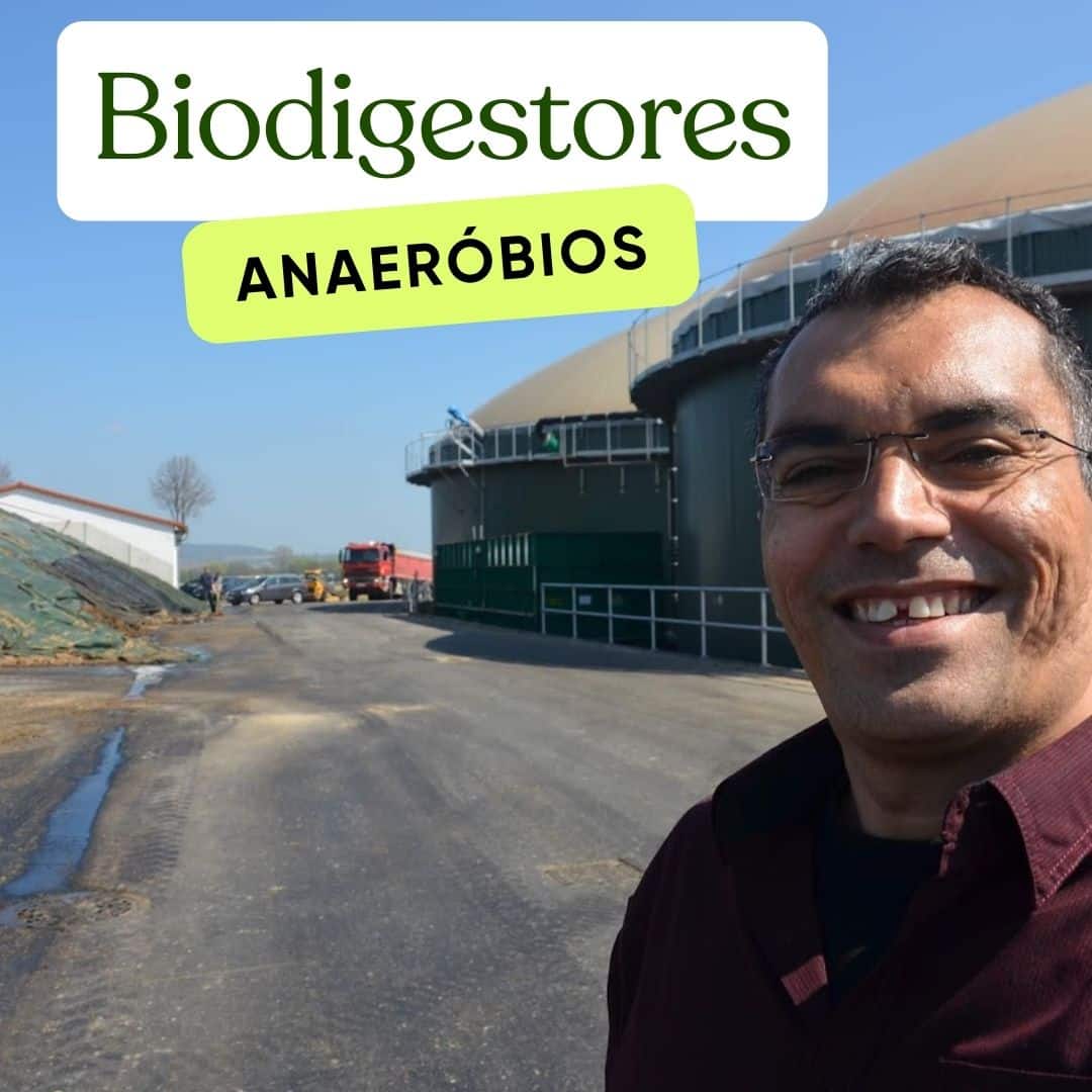 Estudo sobre biodigestores anaerobios